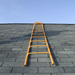 ACRO 11601 and 11610 - Chicken Ladder System - 